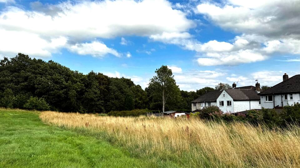 A rural landscape with a grassy field, a white house, and a dense forest under a partly cloudy sky.