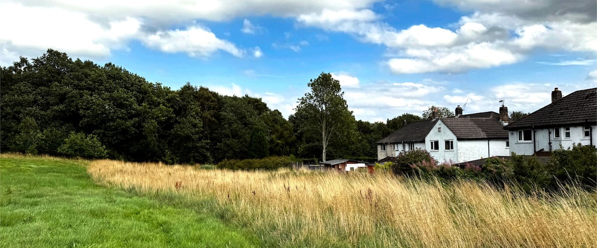 A rural landscape with a grassy field, a white house, and a dense forest under a partly cloudy sky.