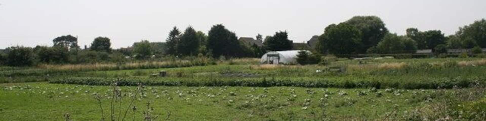 Allotments on the edge of Cote
