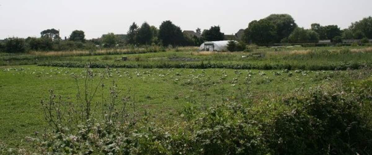A rural landscape with a field, a white building, and trees in the background.