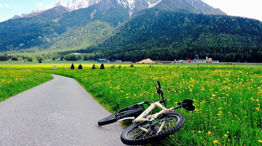 Dobbiaco (Toblach) is a small municipality in South Tyrol in northern Italy, located in Val Pusteria on the border with Austria. Biking in South Tyrol is an Amazing experience and you must try it on your next visit to Italy.
#Biking #Adventure #Italy #TallestMountains