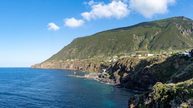 A coastal landscape with a clear blue sea, a steep green hillside, and a small settlement with buildings.