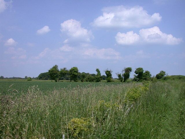 Byway's end The line of trees borders a private farm track which crosses the end of the Public Byway