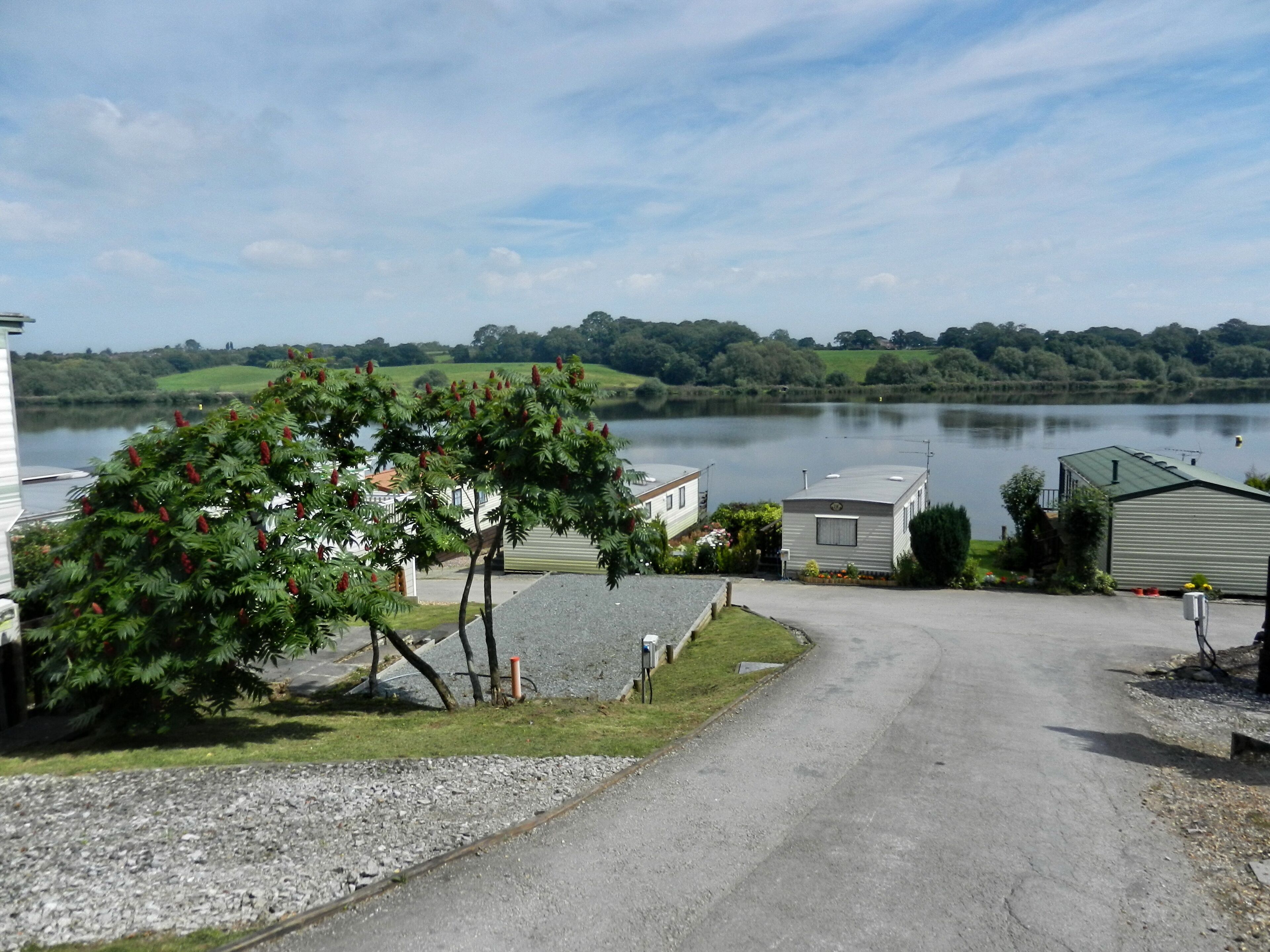 A lakeside view with a gravel driveway, a tree with red flowers, and a row of mobile homes.
