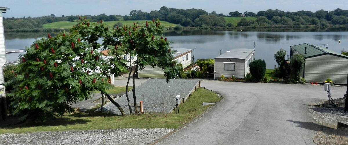 A lakeside view with a gravel driveway, a tree with red flowers, and a row of mobile homes.