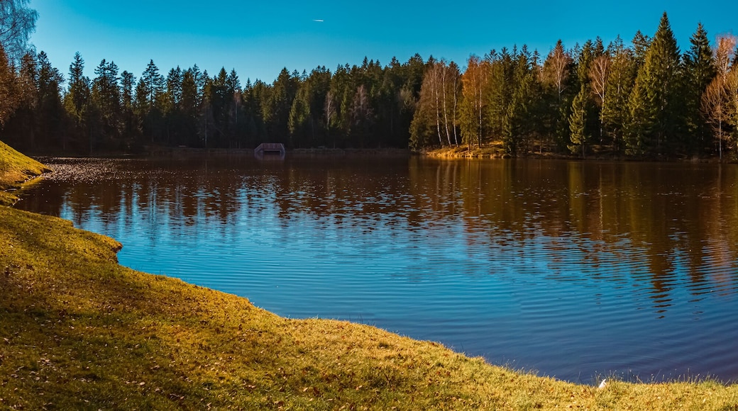High resolution stitched autumn or indian summer panorama with reflections at Riedelsbach reservoir, Neureichenau, Bavarian forest, Bavaria, Germany