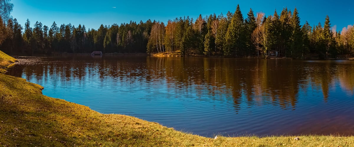 A calm lake surrounded by a forest with a small cabin.