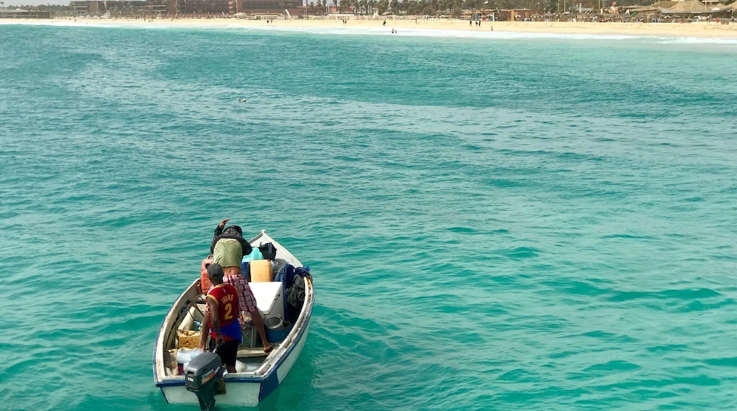 Local fisherman returning with the dayâs catch, off Santa Maria pier in Sal, Cape Verde. A bustling fish market run directly from the pier! #caboverde