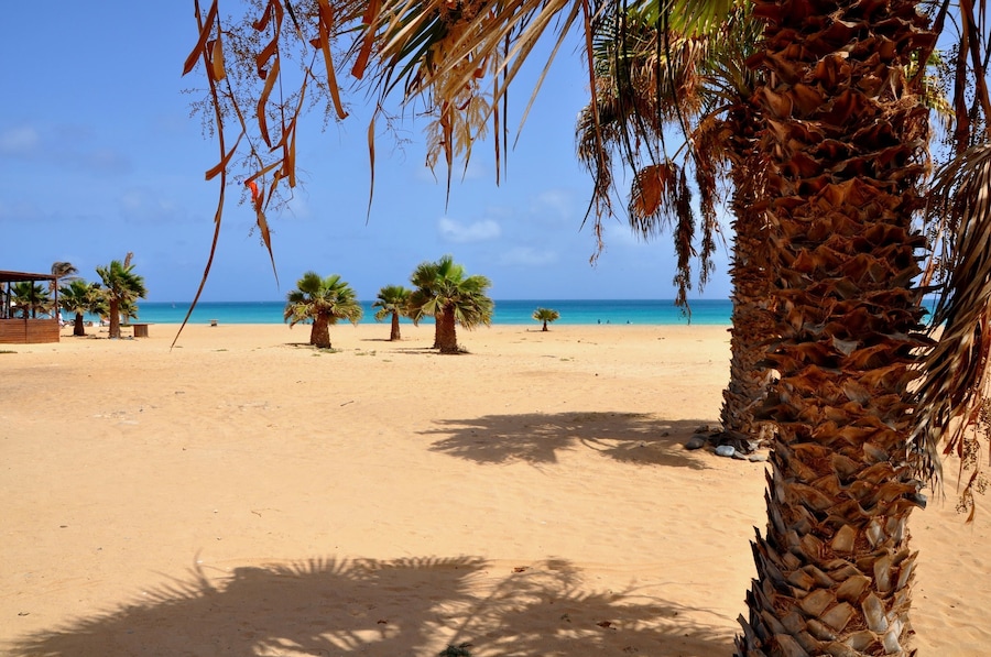 The beautiful beach of Santa Maria, Sal, Cape Verde; Shutterstock ID 212098636