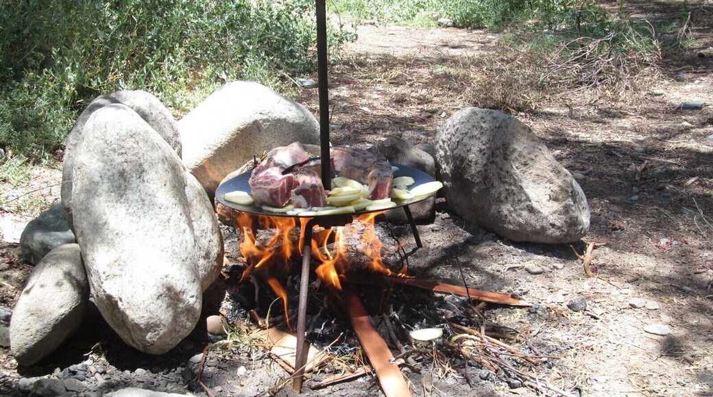 Close to the river, cooking al "disco" style.