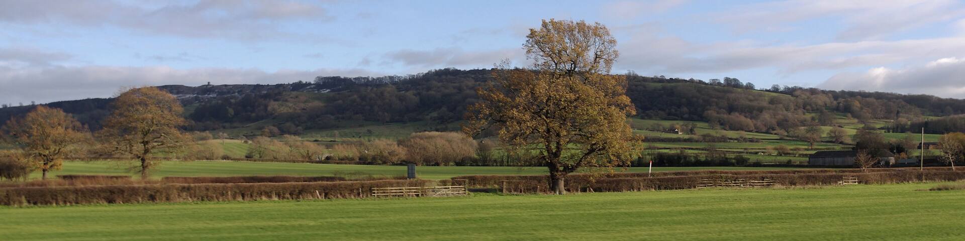 A green field with a tree and a fence in the foreground, a hill with trees in the background, and a partly cloudy sky.