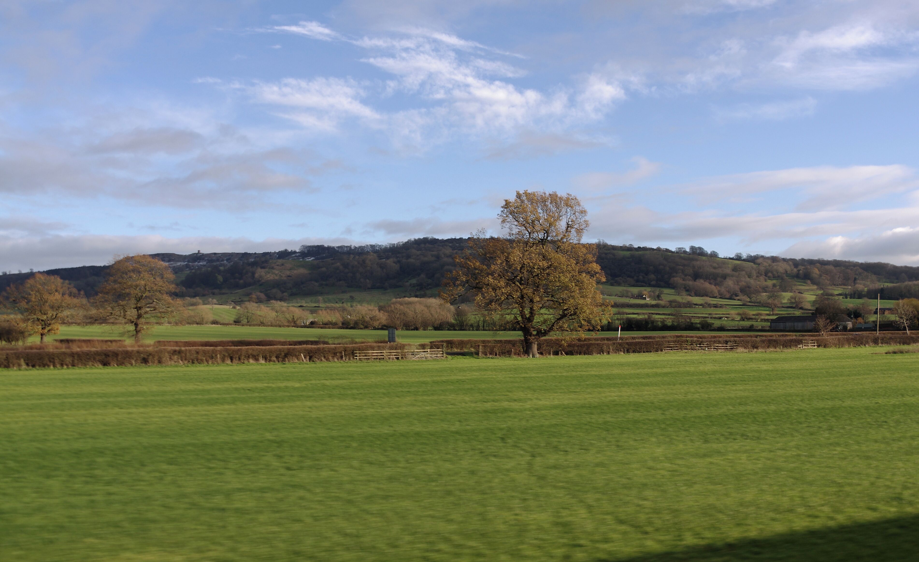 A green field with a tree and a fence in the foreground, a hill with trees in the background, and a partly cloudy sky.