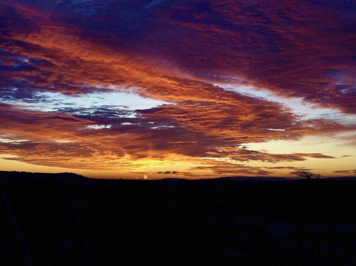 My morning cuppa before work is always better when sunrise is this good