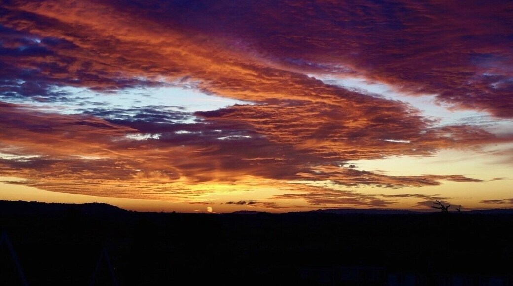 My morning cuppa before work is always better when sunrise is this good