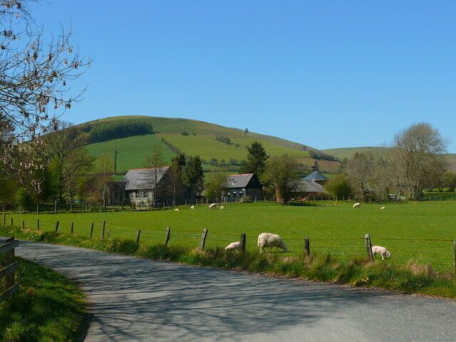 Paisagem rural com estrada sinuosa, campos verdes, ovelhas pastando e casas numa colina.