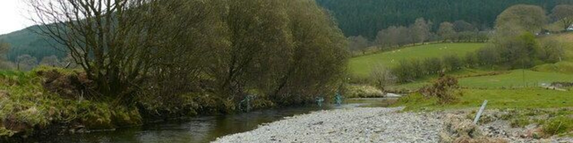 Un río con orilla rocosa, árboles y un paisaje montañoso al fondo.