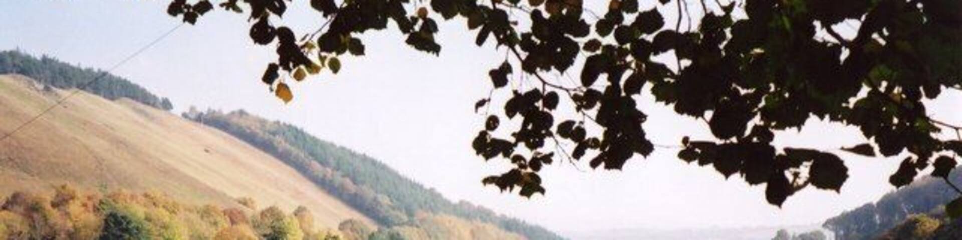 Farmland at Caeynycoed The Severn Way follows a minor road past Caeynycoed farm, revealing this view eastwards down the valley. The river is in the trees above the farmhouse left, with part of Glan-y-nant village beyond.