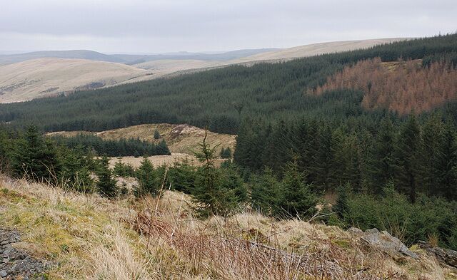 Cwm Troedyresgair Almost entirely given over to forestry at this point.