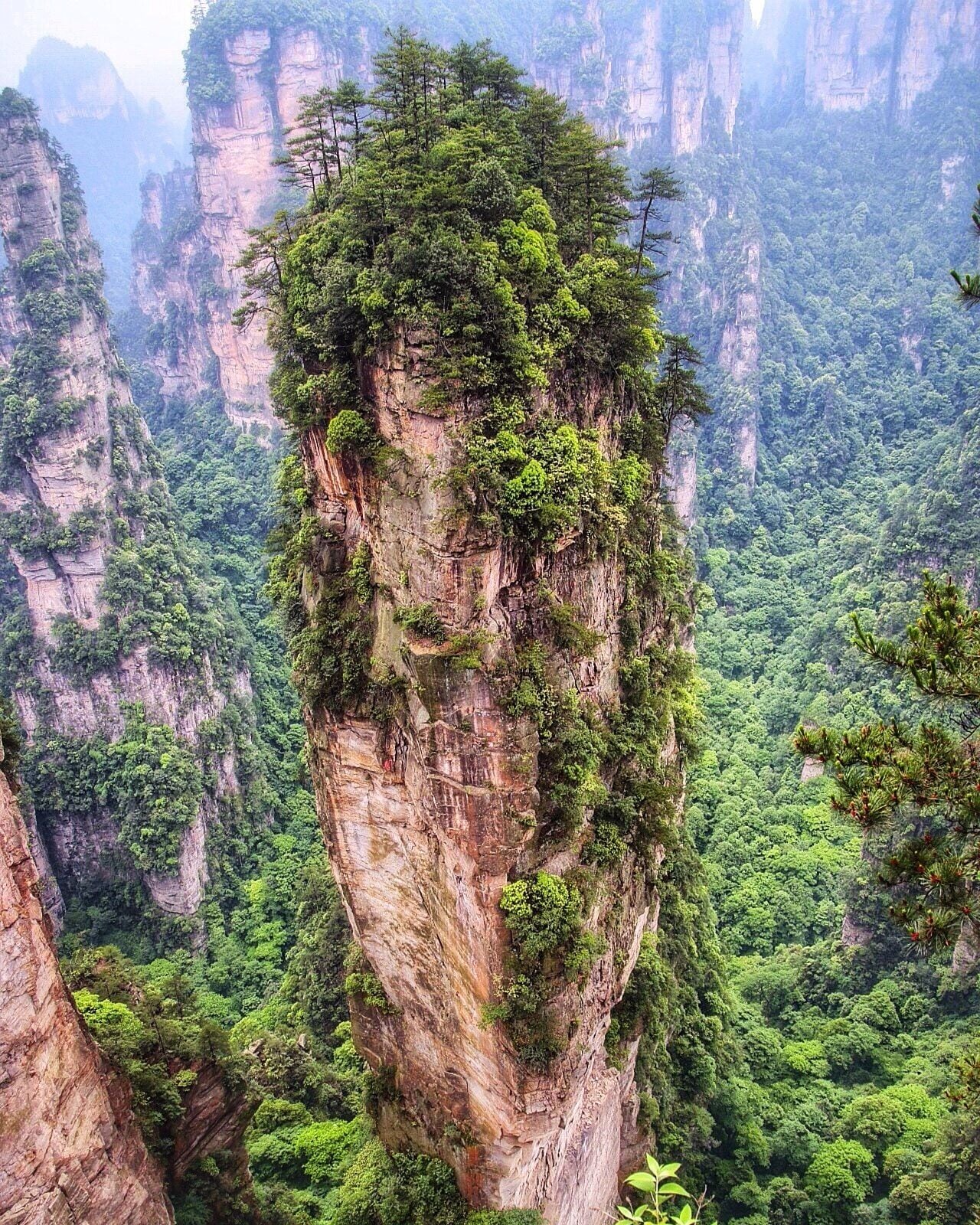 You really do get to feel #AboveItAll in Zhangjiajie National Park in China. They don't call them the Hallelujah mountains for nothing! Featured in the move Avatar, these karst pillars are truly a sight to behold