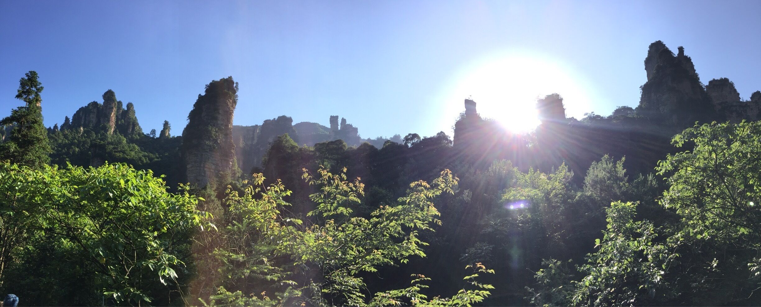 Panorama of pillars taken from nearby trail
