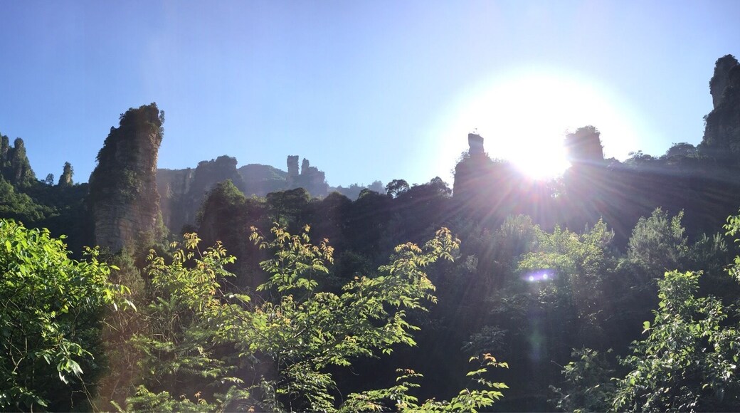 Panorama of pillars taken from nearby trail