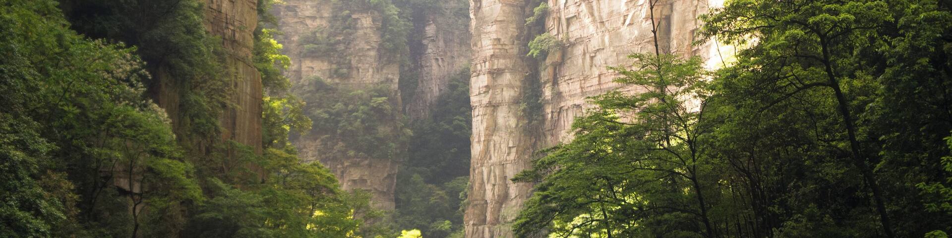 Inside the #green gorge of Zhangjiajie national park