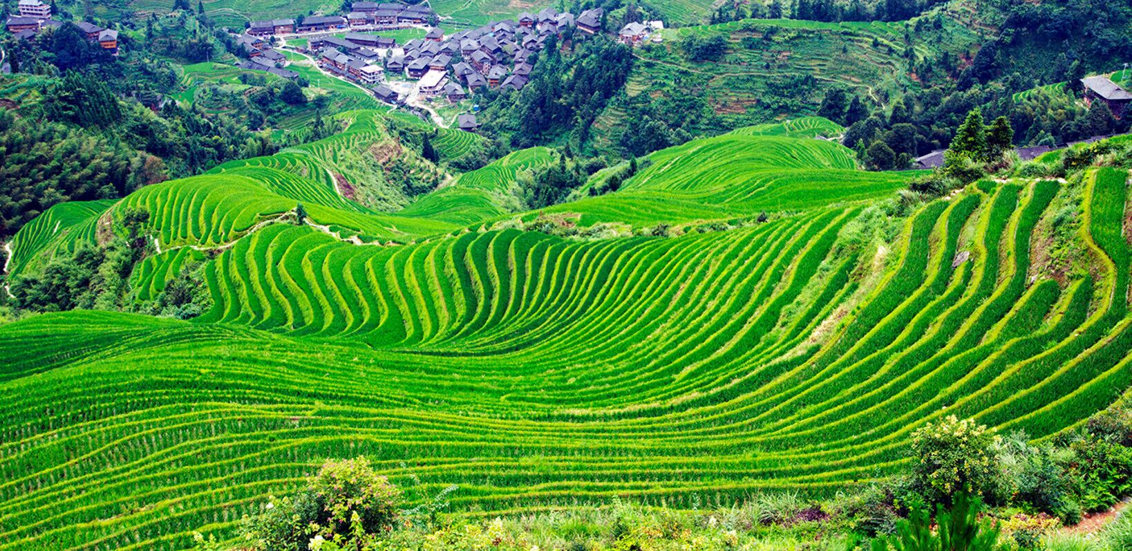  Longji Terraced fields of #Guilin,China.

https://twitter.com/Beautifulgx