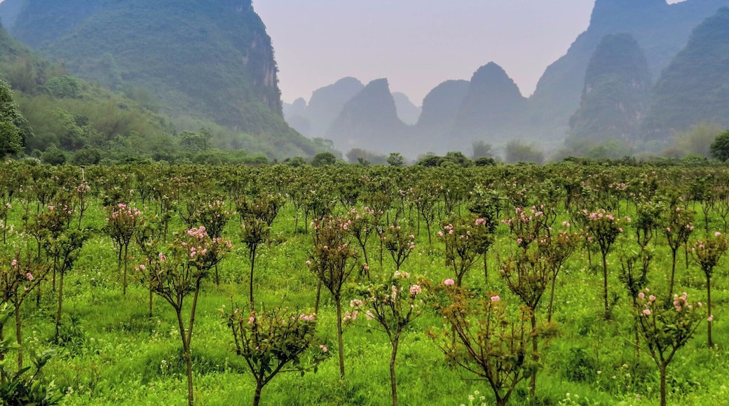 Gorgeous Yangshuo mountains, China.