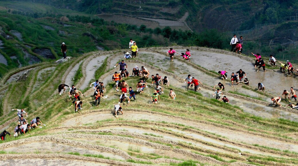 Spring Ploughing Festival in #Longsheng of #Guilin,China.#龙脊开耕节.
https://twitter.com/Beautifulgx