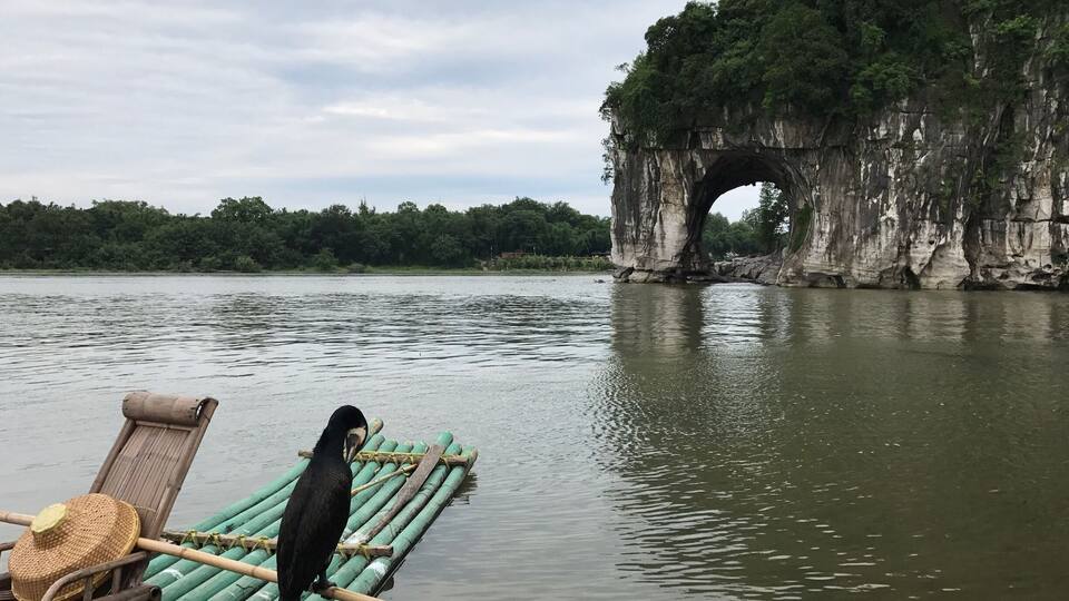 Xiangbishan Park - a symbolic park in the city center