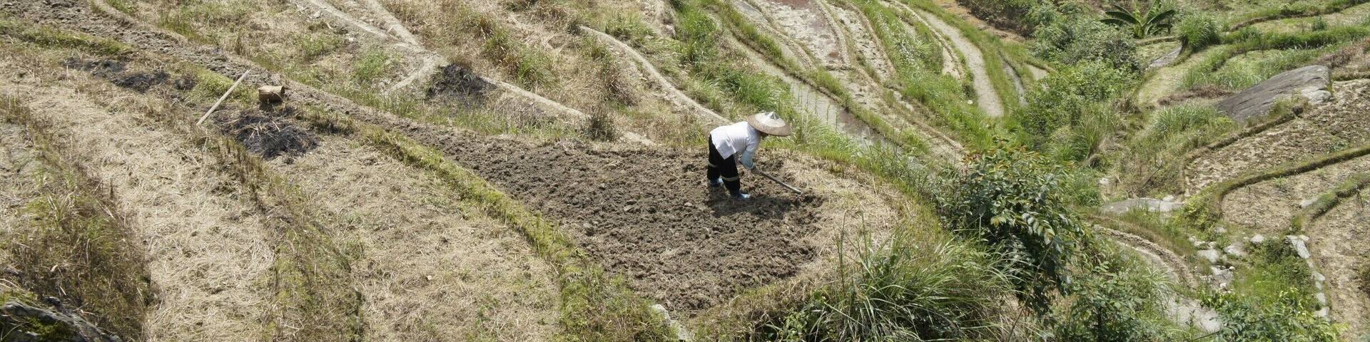 Wrong season and crappy weather didn't make the nicest photos, but I still enjoyed the Longsheng Rice Terraces, near Guilin, very much.
#mountains #guilin #riceterrace
