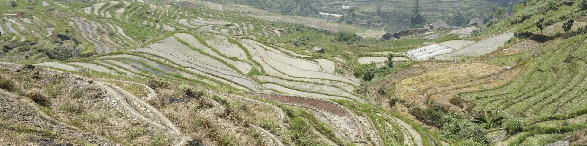 Wrong season and crappy weather didn't make the nicest photos, but I still enjoyed the Longsheng Rice Terraces, near Guilin,  very much.
#mountains #guilin #riceterrace