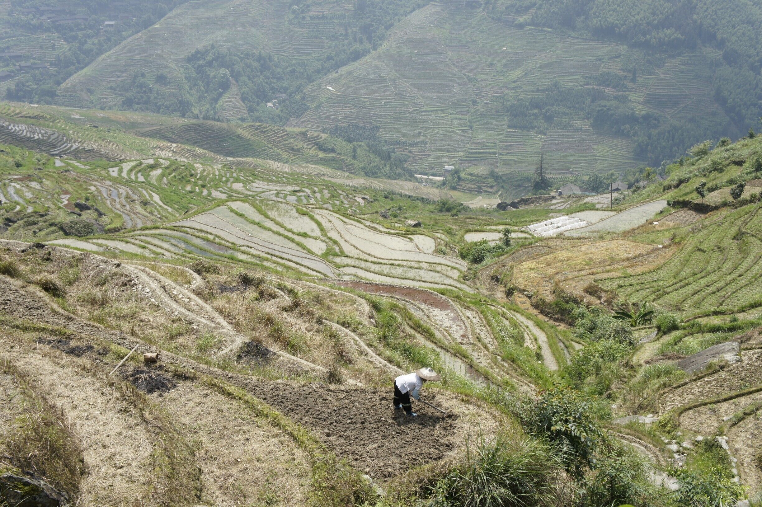 Terraced rice fields with a person working in the foreground.