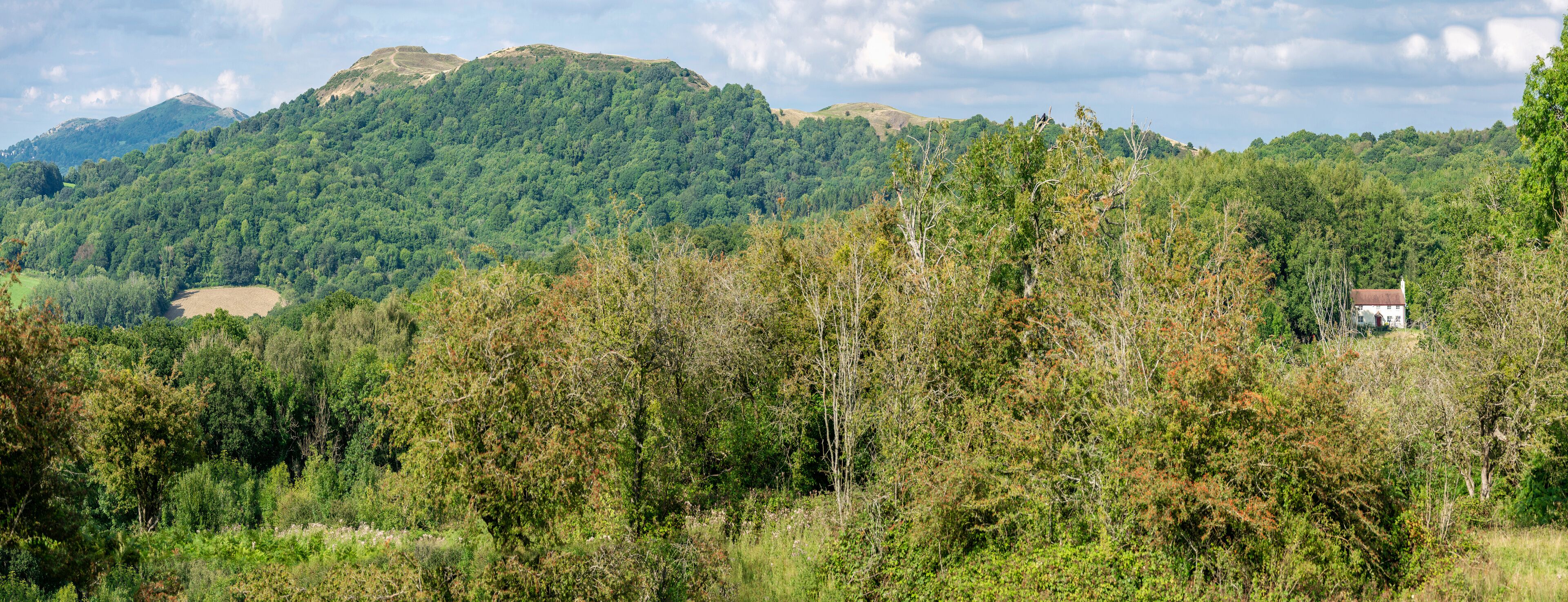 A forested mountain landscape with a small house on a hill.