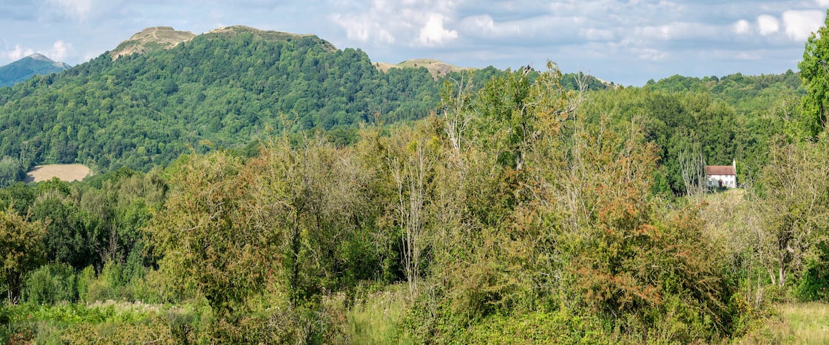 A forested mountain landscape with a small house on a hill.