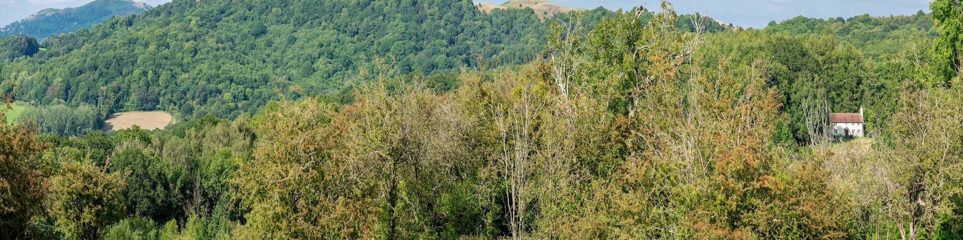 A forested mountain landscape with a small house on a hill.