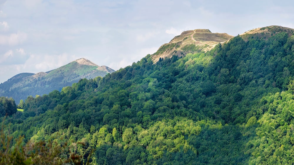Un paysage montagneux caractérisé par une végétation forestière dense et un ciel dégagé.