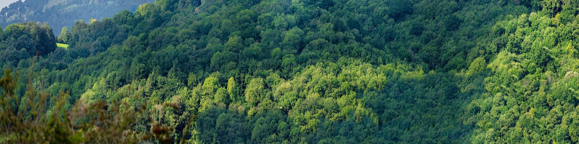 A mountainous landscape with dense forest coverage and a clear sky.