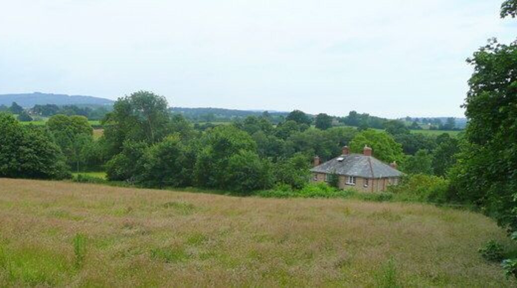 View from St. Ann's churchyard Towards May Hill in the distance.
