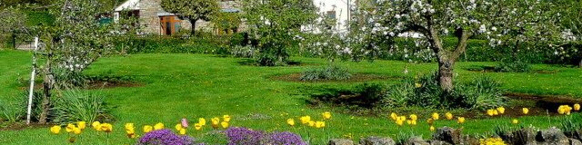 Un muro de piedra con flores, una casa blanca y un campo verde.