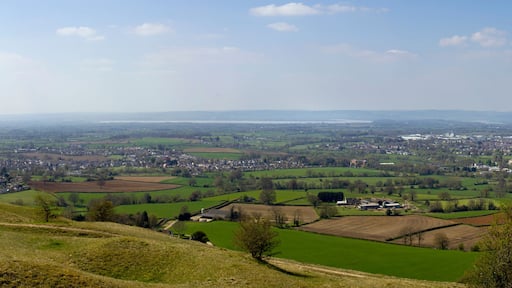 Newent
