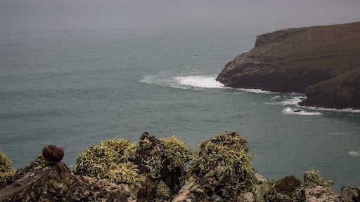 Taken in the morning along the SW Coast Path in Cornwall.