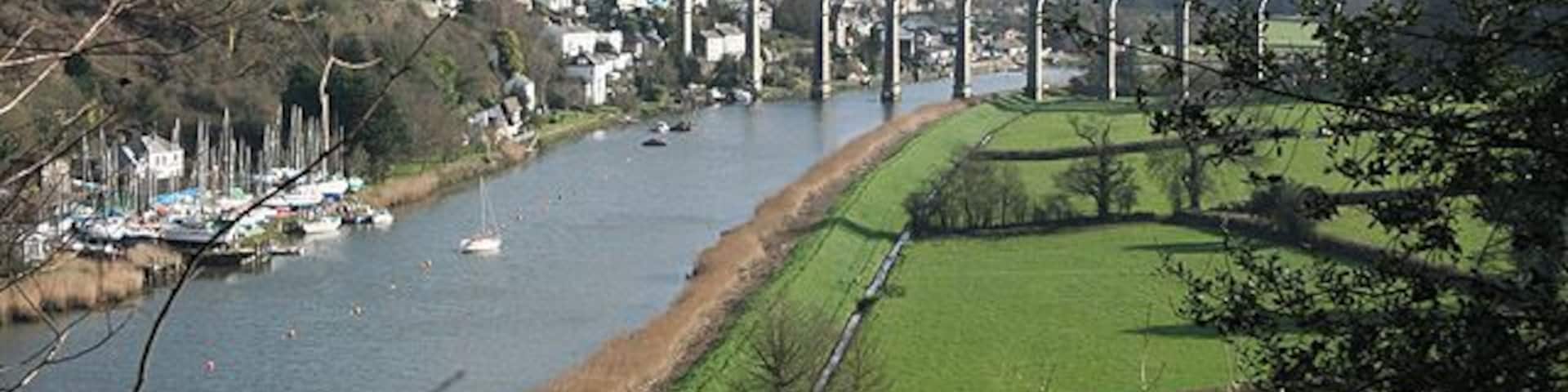 The Tamar downstream from Calstock Looking towards the viaduct that links Plymouth, Beer Alston, Calstock and Gunnislake by rail