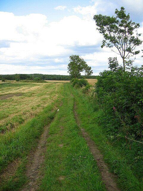 Footpath to Bomarsund This footpath follows the field edges. Whinneyhill Plantation can be seen in the distance.