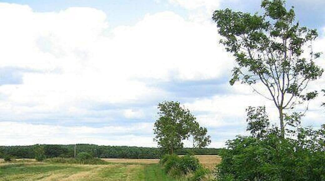 Footpath to Bomarsund This footpath follows the field edges. Whinneyhill Plantation can be seen in the distance.
