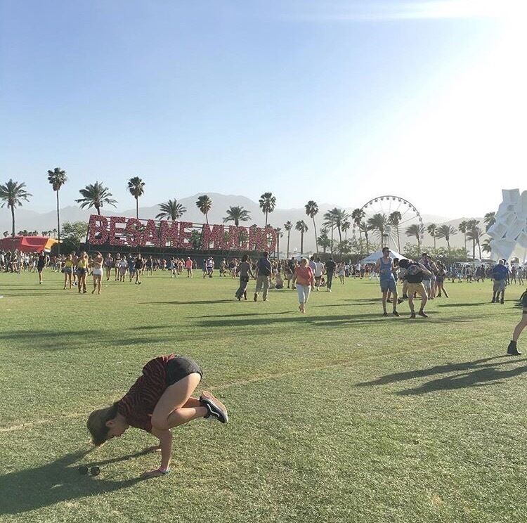 If you're a crow I'm a crow 