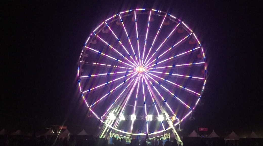 Mecca for music fans... Coachella and Desert Trip both held here.