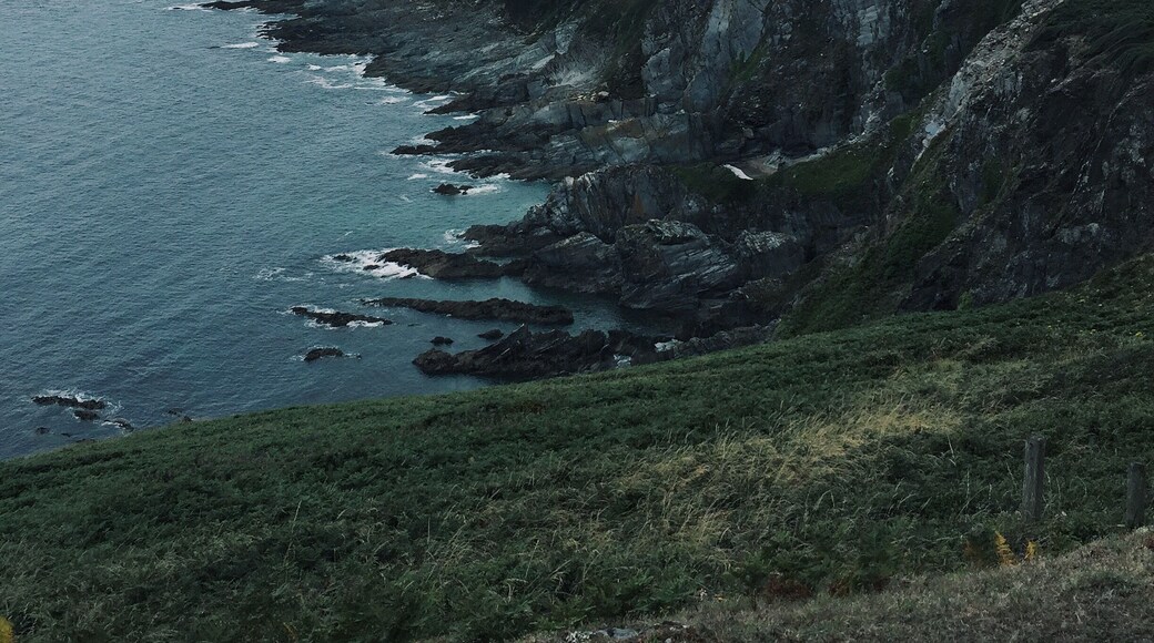 Hiking the Cornwall coast. Easily the most beautiful place I have ever been.