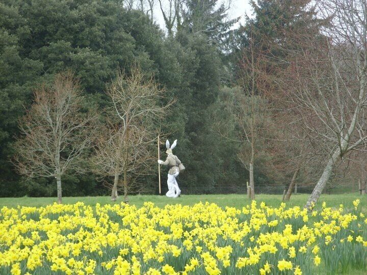 Chasing Rabbits !! beautiful house, grounds & day out ... wonderful piece of history 