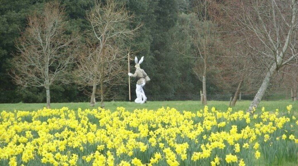 Chasing Rabbits !! beautiful house, grounds & day out ... wonderful piece of history